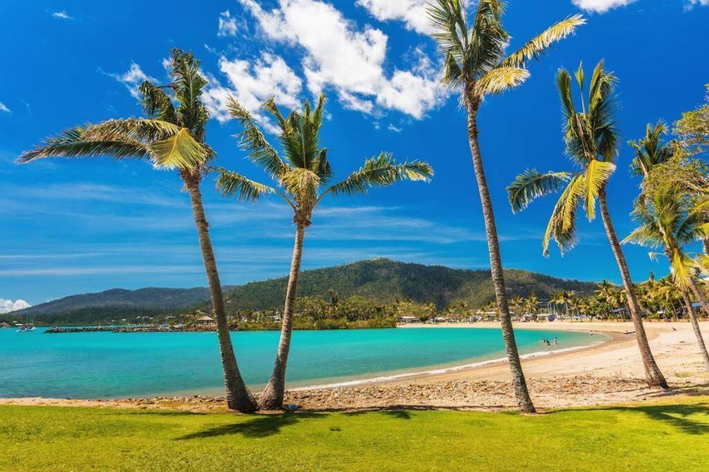 Ocean View 33A Studio Pool Ocean View Wifi Airlie Beach Dış mekan fotoğraf